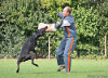 Princeton v.Weser-Ems