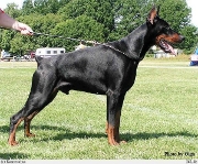 Pako Daker