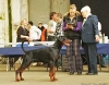 Brentano v.Residenzschloss