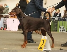 Your Majesty v. Residenzchloss