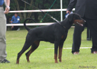 Baronesse beatrice v.d.rotbuche