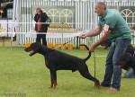 Bentley's Mysa Hersones