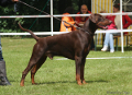 Norbert v. Klinbach